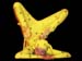 Marsupilami