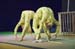 arc-en-cirque-2006-049